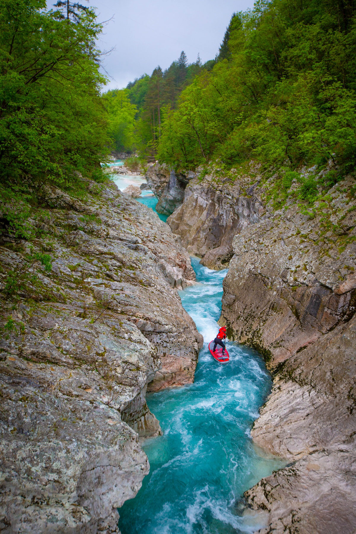photo of the week