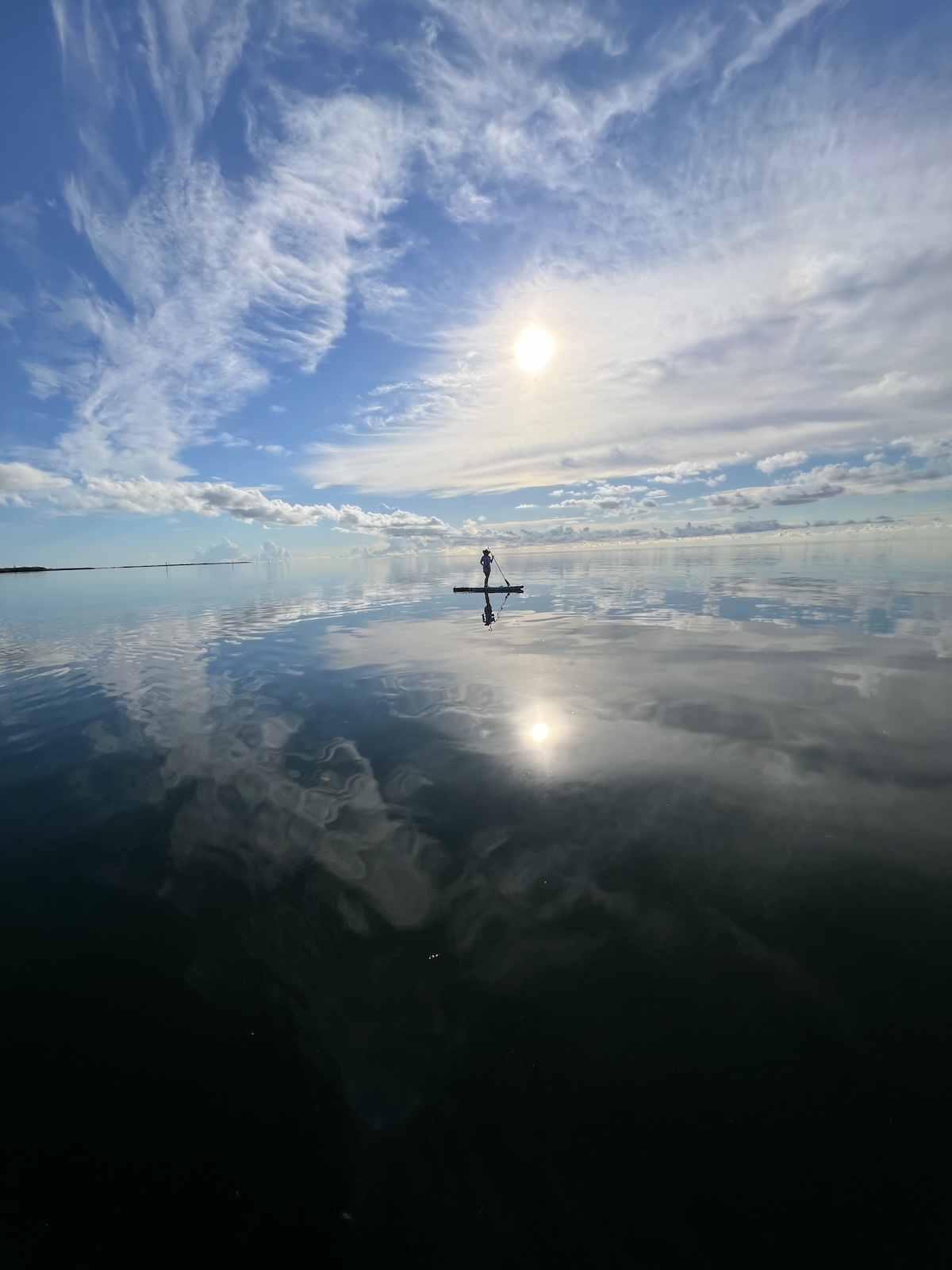 photo of the week
