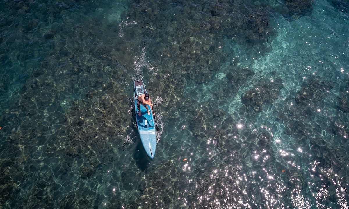 photo of the week