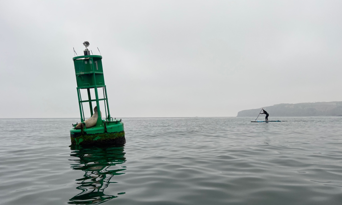 green buoy battle 2025 1