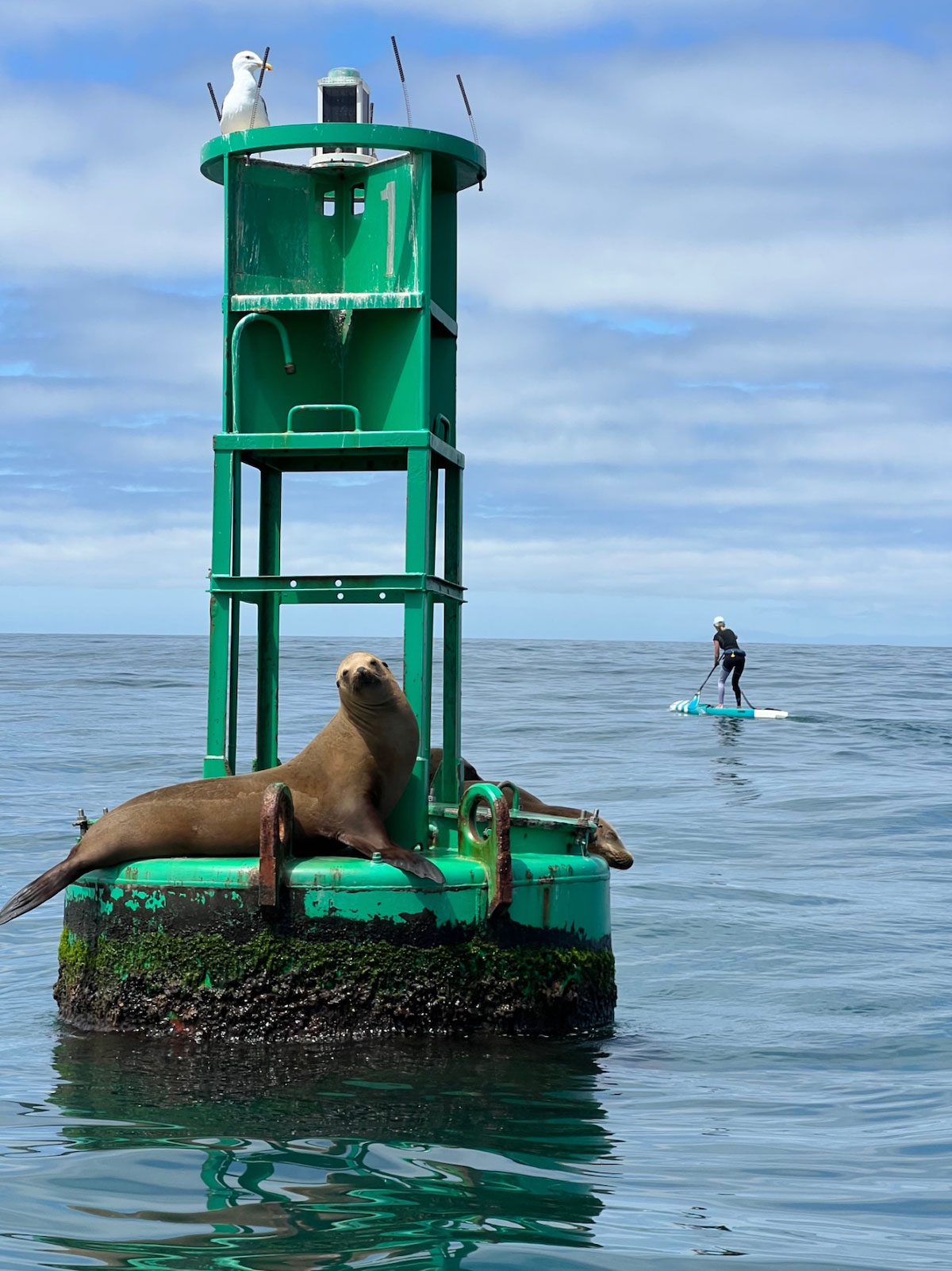 green buoy battle 2025