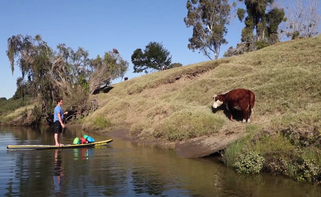 beau-nixon-clarence-river-adventure