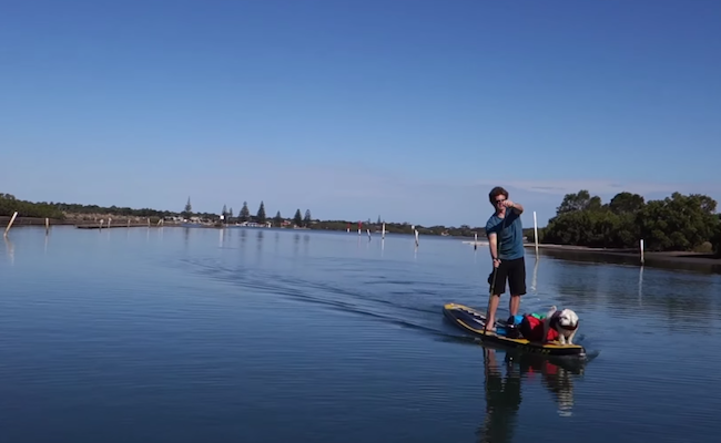 beau-nixon-pet-sup-adventure