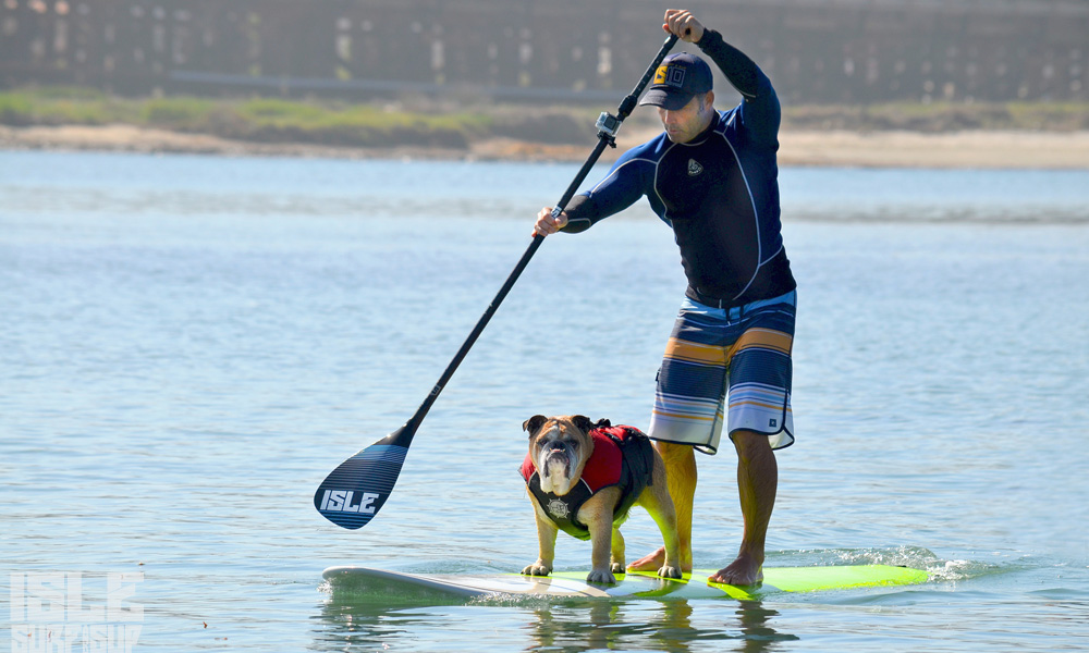 how to paddle with dog