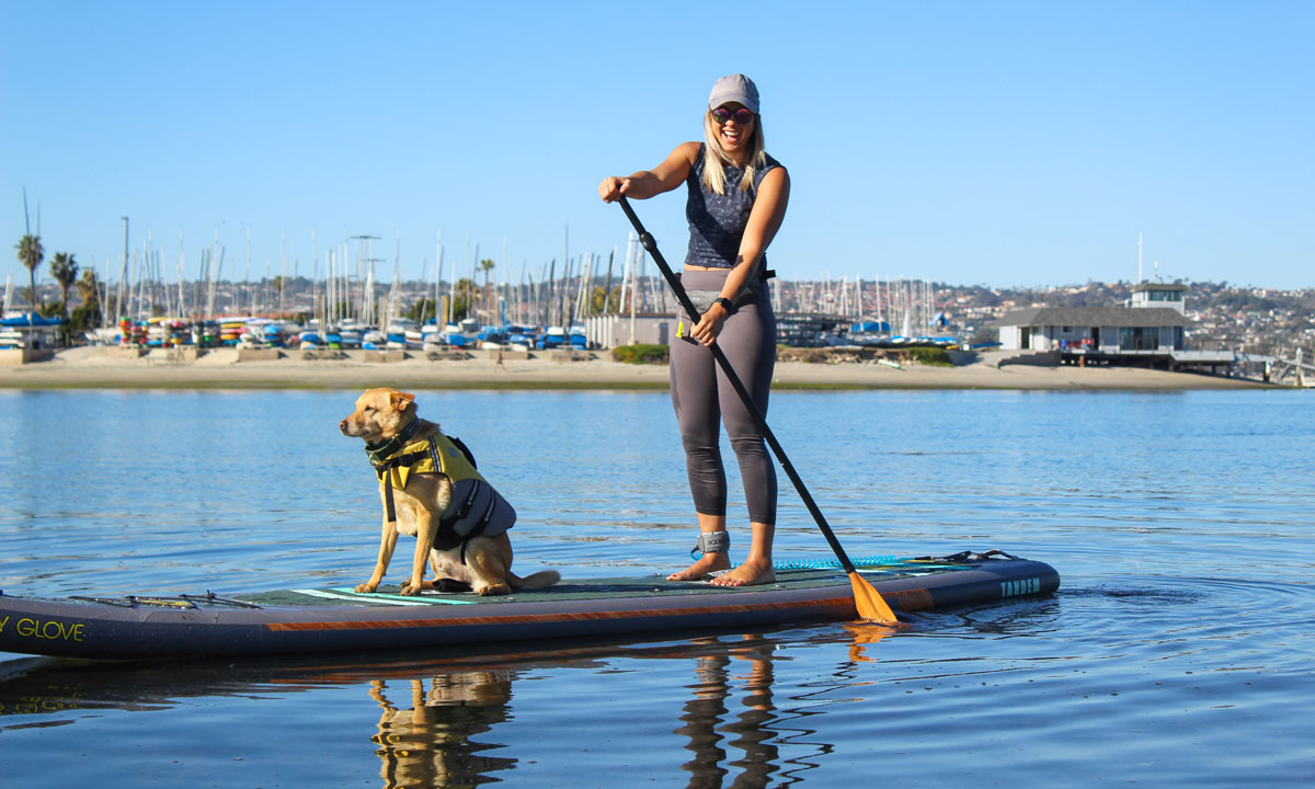 tips to sup with dog 1