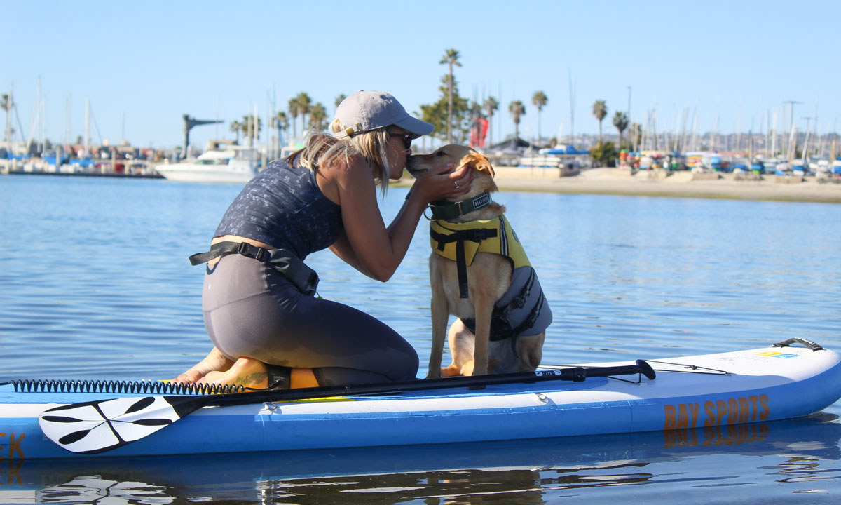 tips to sup with dog 2