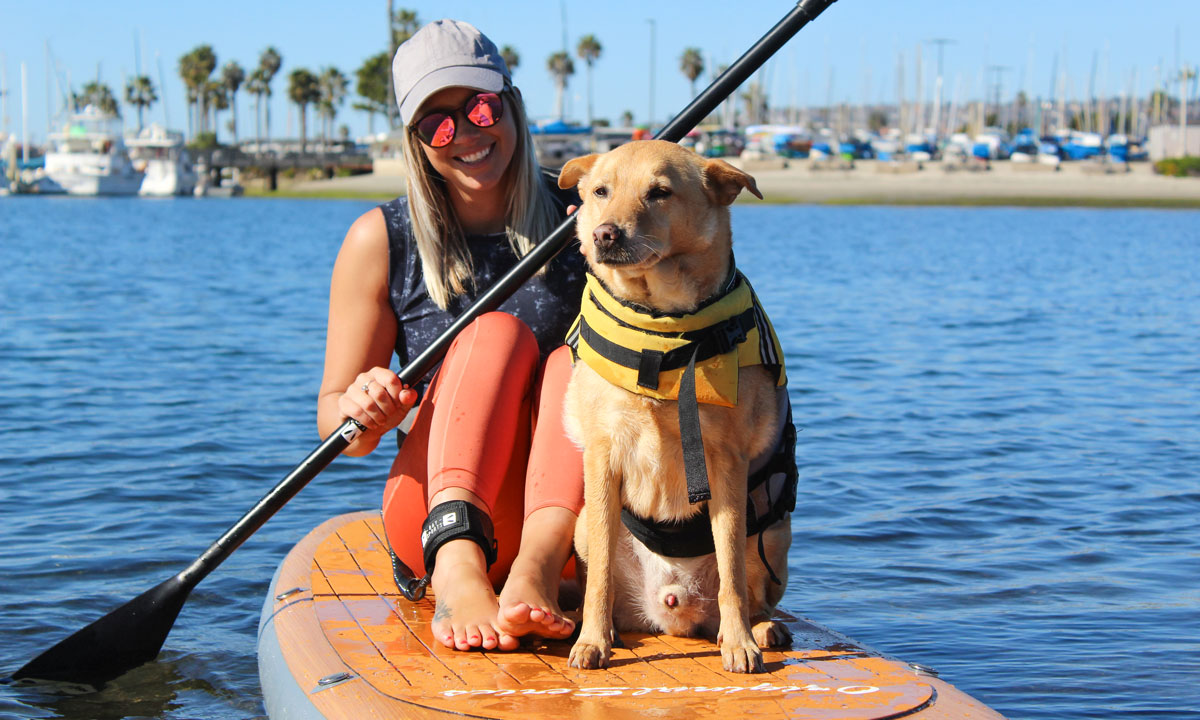 tips to sup with dog 4