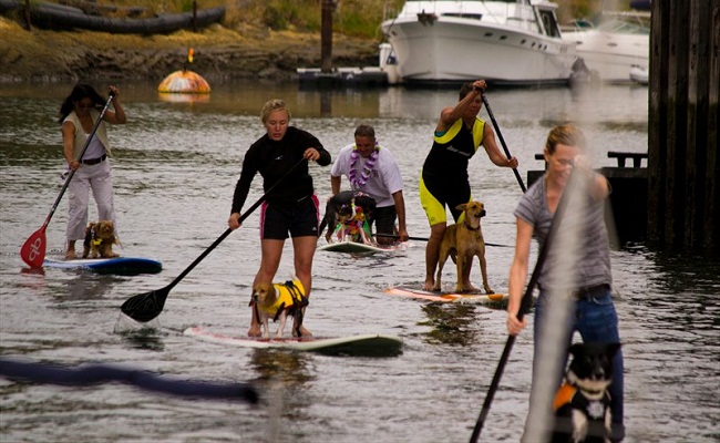 DogJam_2011_in_Santa_Cruz