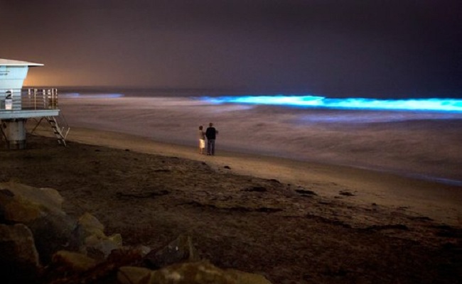 San_Diego_Bioluminescence_-_Red_Tide_-_SUP_Connect_-_1