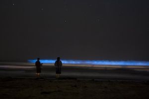 San_Diego_Bioluminescence_-_Red_Tide_-_SUP_Connect_-_Joshua_Wu_-_3