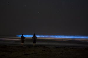 San_Diego_Bioluminescence_-_Red_Tide_-_SUP_Connect_-_Joshua_Wu_-_3