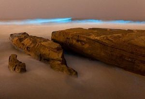 San_Diego_Bioluminescence_-_Red_Tide_-_SUP_Connect_-_Steve_Shuey_-_4