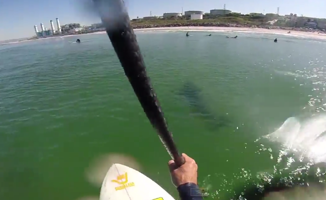top-10-sup-videos-of-2014-1