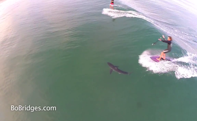 top-10-sup-videos-of-2014-2