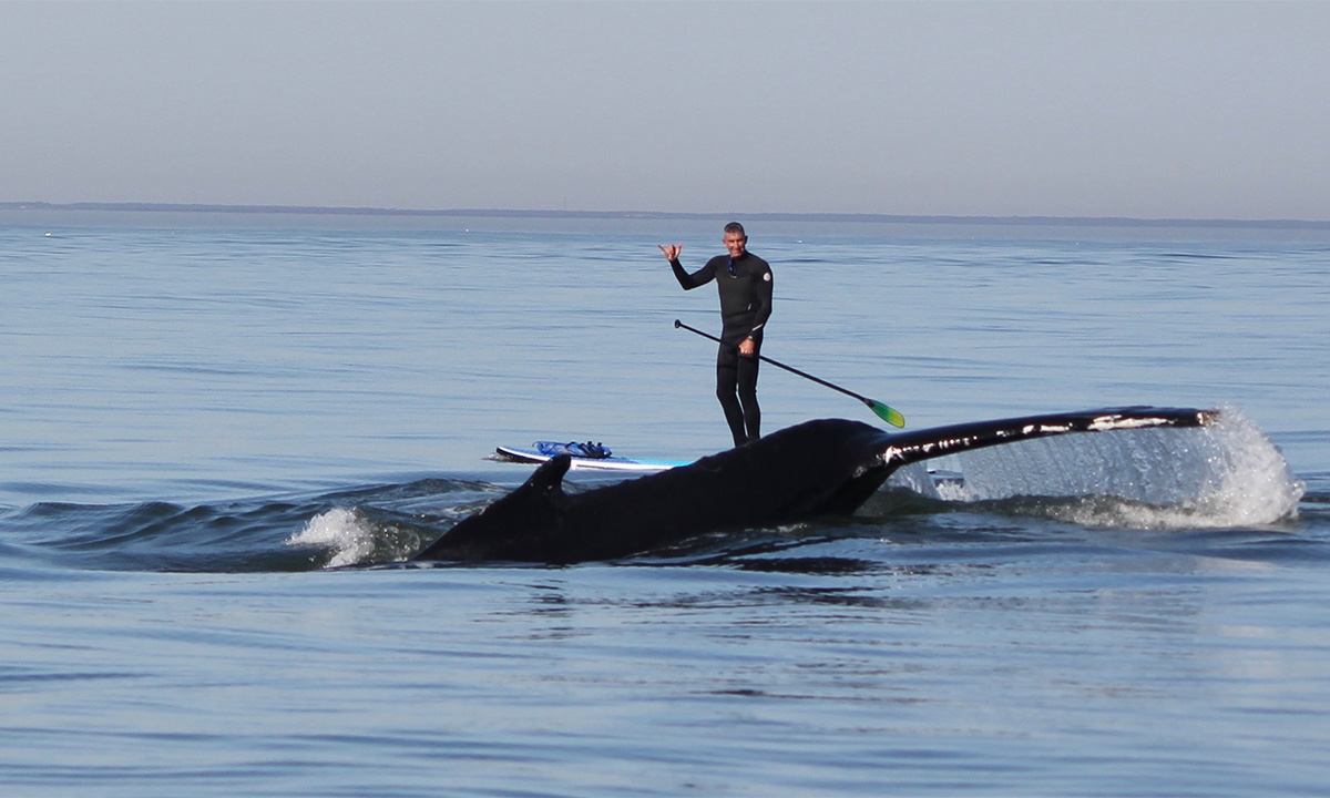 awesome sup photo 2019 3