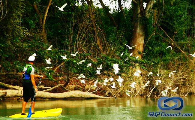 standuppaddle-mexico-riovalles-huesteca-supa