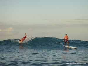 saintmartin-standuppaddleboard-wilderness