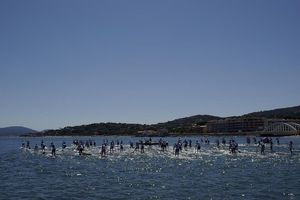 _IGP20143