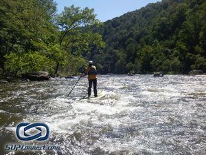 mel_gauley_9-10_copy