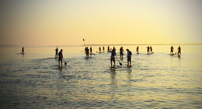 sup-standuppaddle-capecod