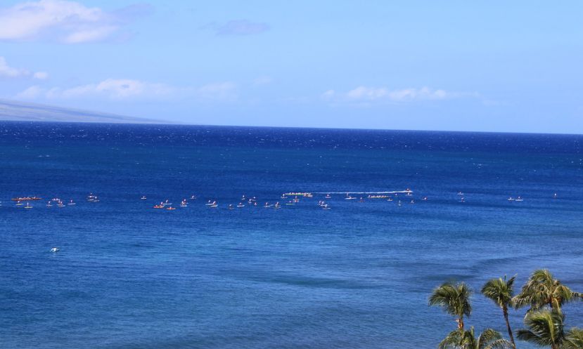 Maui Paddle for a Cure 2015. 