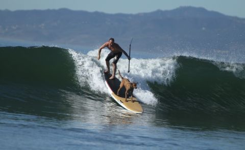 Mike Vaughan & Tiger, Venice Beach | Image: Alex Chadwick