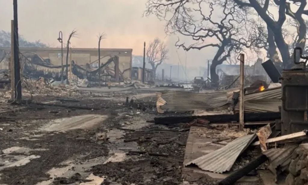 A glimpse of the aftermath of fires in Lahaina. | Photo courtesy: Slater Trout Gofundme