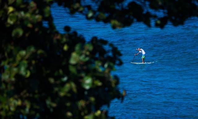 SUP Surfer in the Dominican Republic. | Photo: Shutterstock