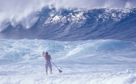 The Story Of Standup Paddle Trailer