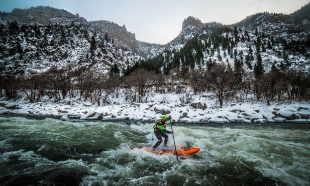 Weekly Recap 1/19/2016