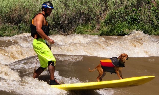 Mike Tavares and Shredder enjoying the river.