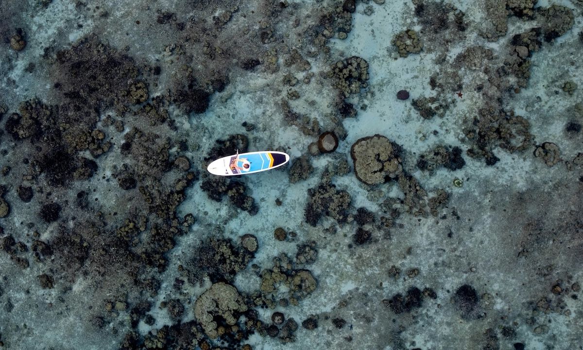 Weekly Recap 11/25/2025