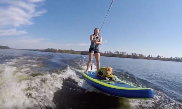 SUPs, Pups, & Wakesurfing