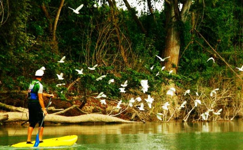 Paddle Boarding Huasteca, Mexico