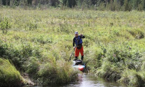 Head Creek Marsh, Algonquin Park, Ontario, Canada. | Photo: Brad Baumber