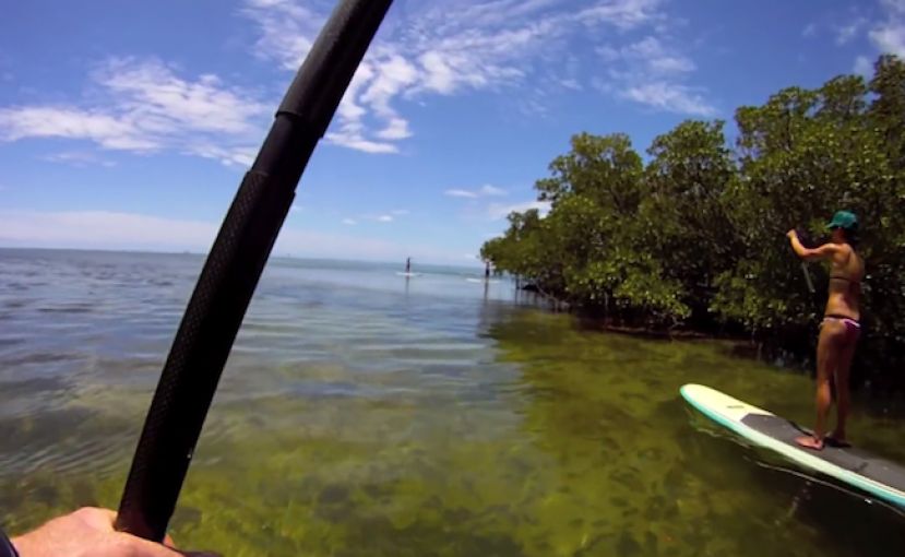 Virtual SUP Tour Of The Florida Keys