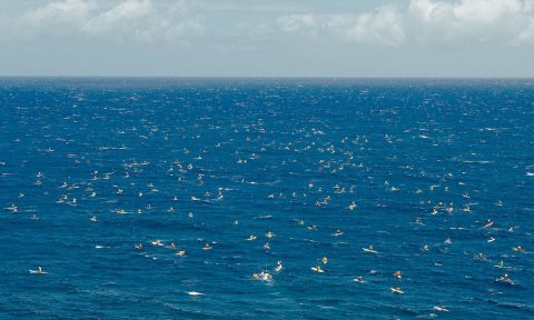 Are you ready for the 2016 Olukai Ho'olaule'a? Register today! | Photo: Mark Kushimi