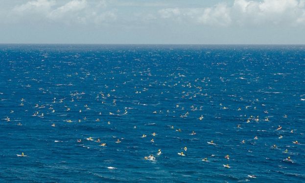 Are you ready for the 2016 Olukai Ho'olaule'a? Register today! | Photo: Mark Kushimi