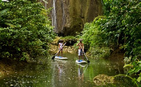 Supconnect Announces 2013 Photo of the Year Winner