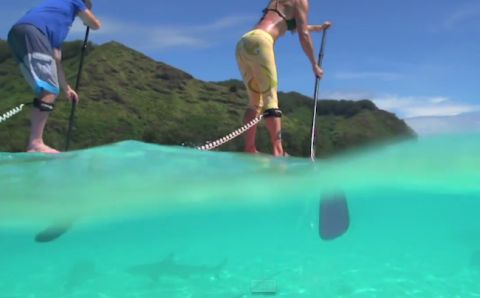 Paddle Boarding Mo&#039;orea, Tahiti