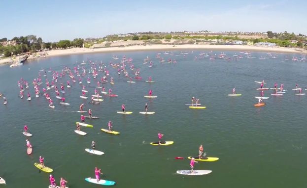 Stand Up For The Cure 2014 Video