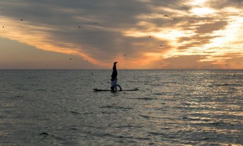 Jeramie Vaine doing a head stand on his paddle board | Photo courtesy: Marissa Williams