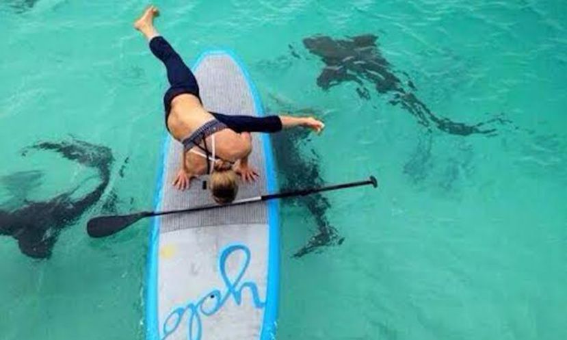 SUP Yoga With Sharks