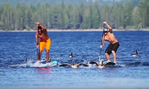 Rogue SUP Recaps 2015