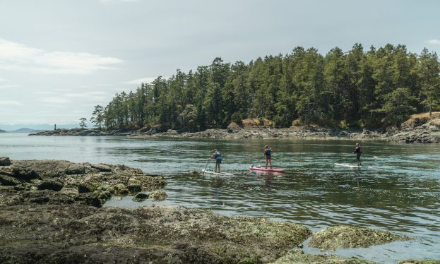 Photo courtesy: Blue Jellyfish SUP Adventures