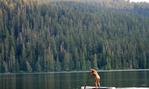 2016 Columbia Gorge Paddle Challenge Athlete Highlight: Fiona Wylde