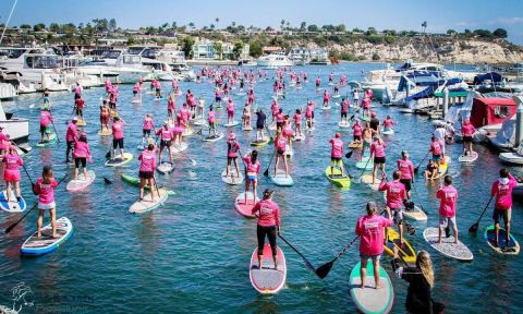 Standup for the Cure, 2015. | Photo: Dale & Karen Photography