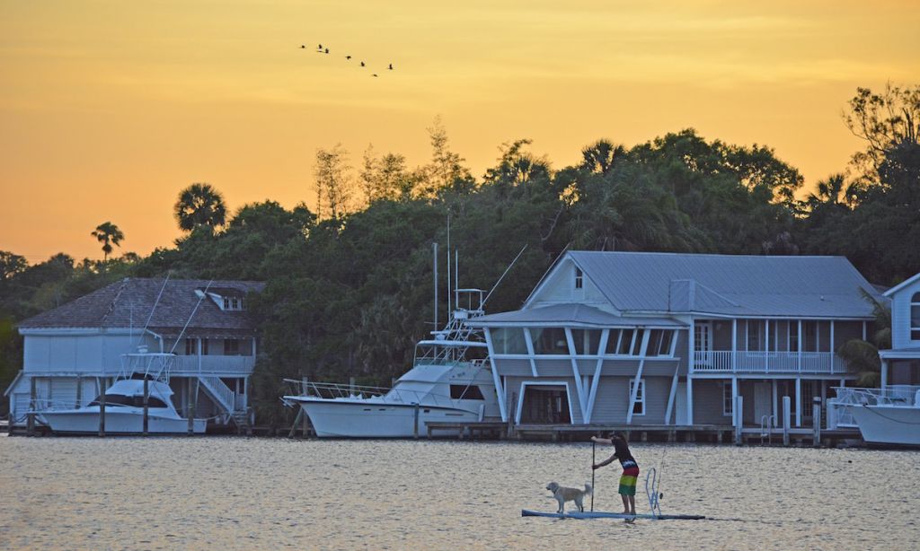 BOTE Board ambassador Sean Strahlo paddling with his pup at Ballard Park. | Photo: Jacob Strahlo