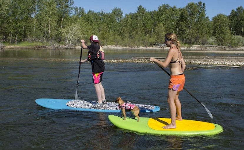 A positive trend is afoot nationally with GlideSUP indestructible boards and their groundbreaking rental fleet program.