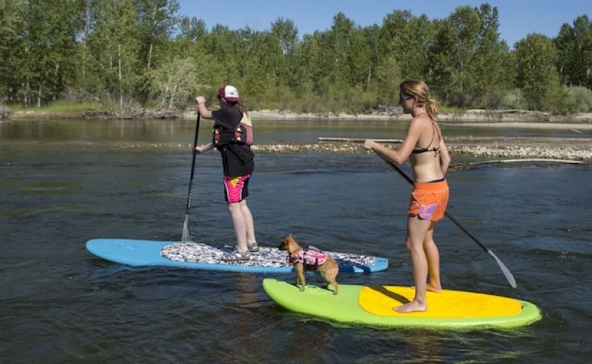 A positive trend is afoot nationally with GlideSUP indestructible boards and their groundbreaking rental fleet program.